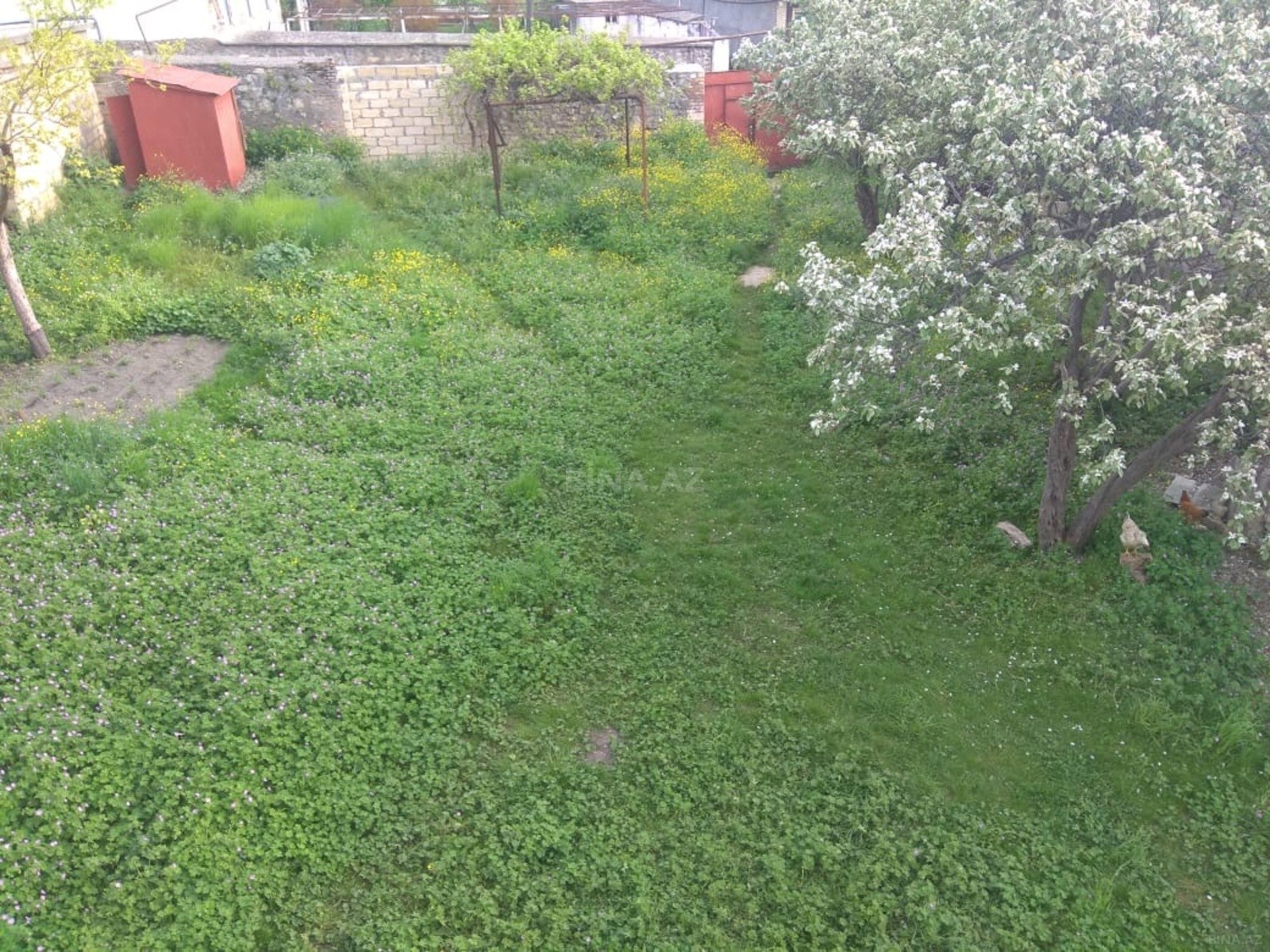 6 otaqlı həyət evi/bağ evi - Şəki - 500 m² (3)