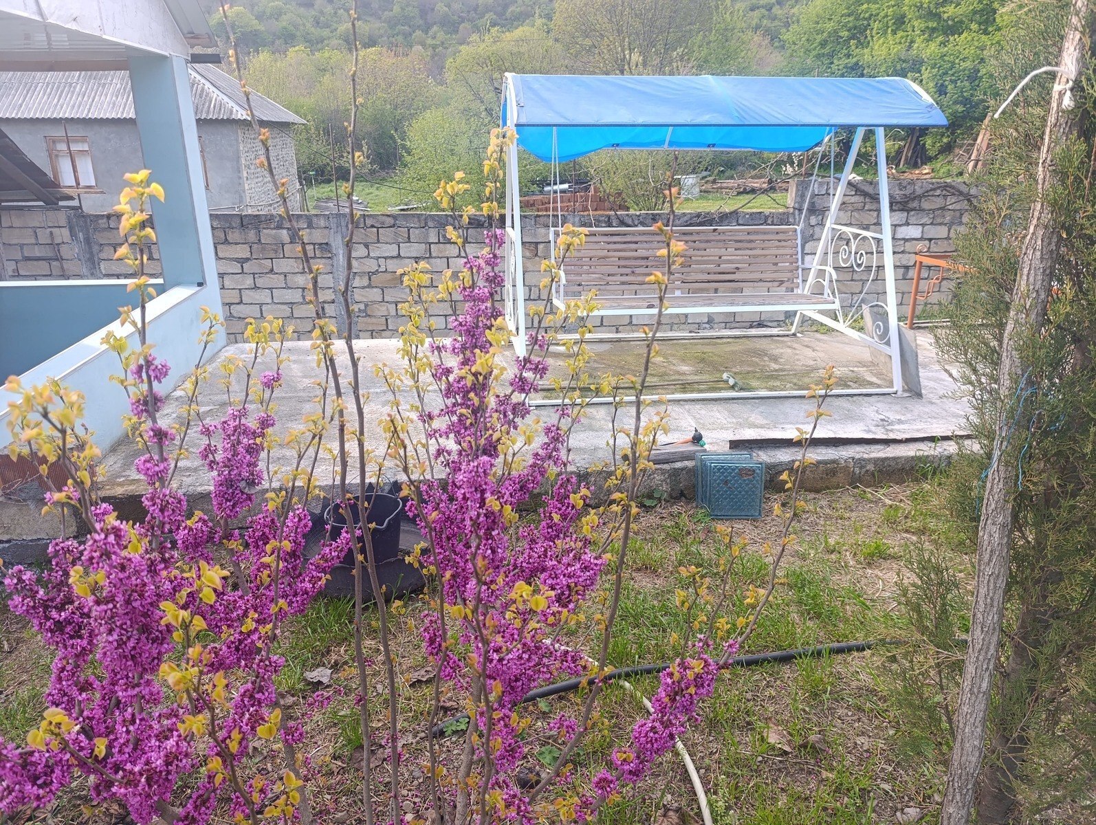 3-комн. дом/дача - Загатала - 100 м² (30)