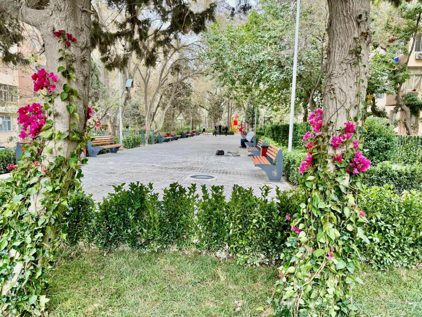 3 otaqlı köhnə tikili - Azadlıq Prospekti m. - 75 m² (23)