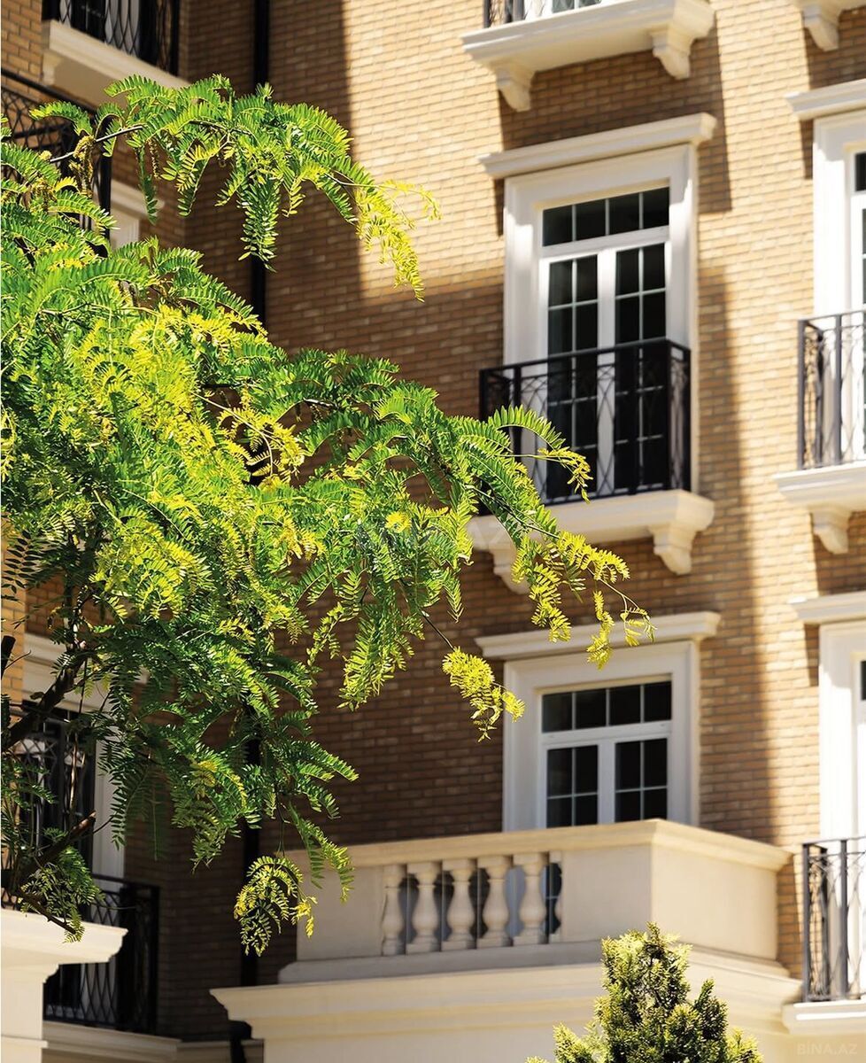 2 otaqlı ofis - Ağ şəhər q. - 52 m² (6)