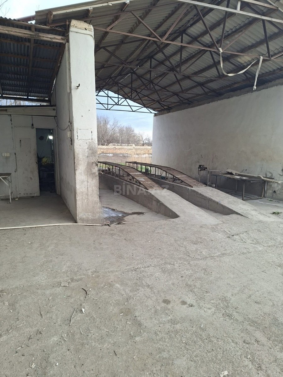 Torpaq Yevlax