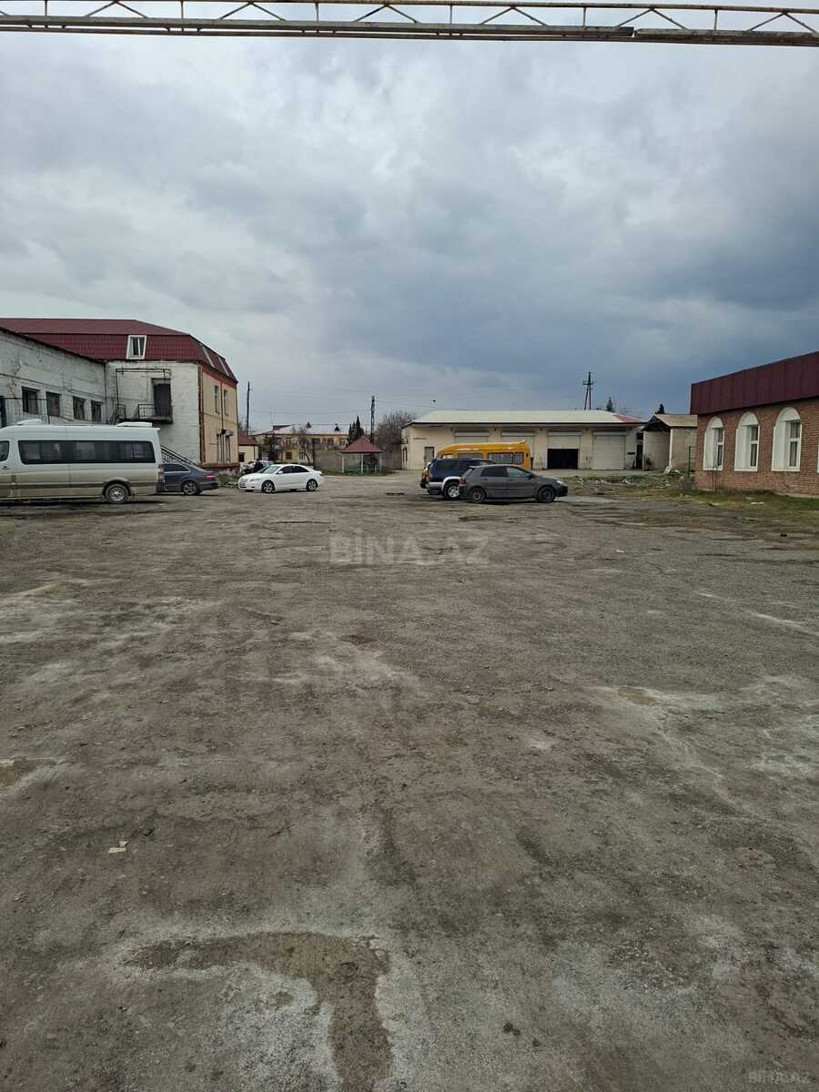 Torpaq Yevlax