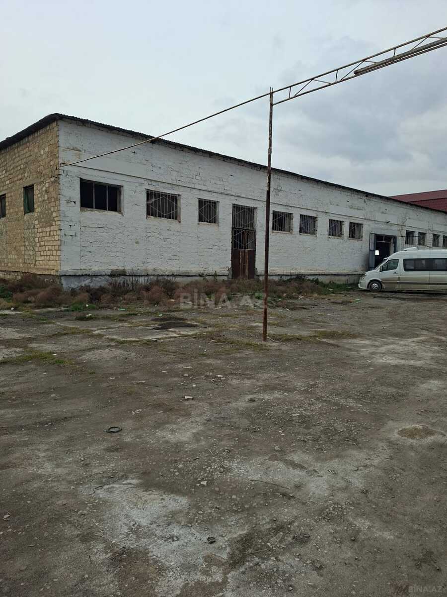 Torpaq Yevlax