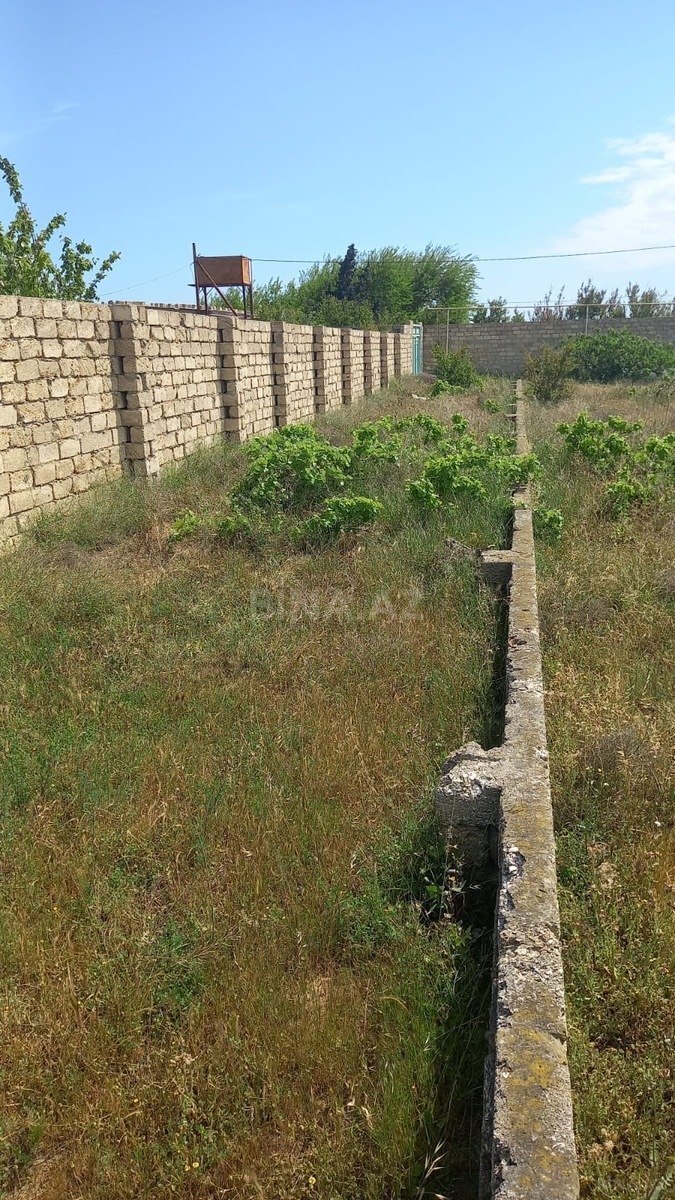 Torpaq satılır, Türkan, Bakı