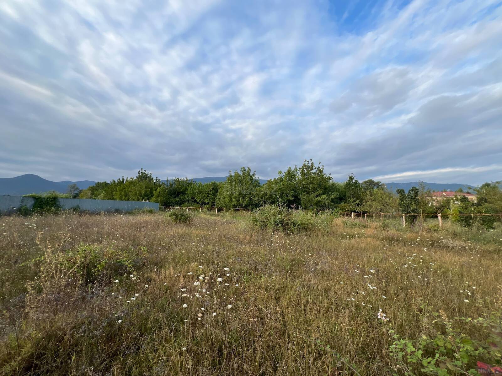 Torpaq İsmayıllı