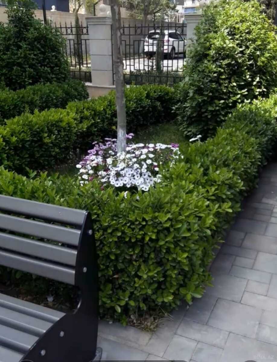 4 otaqlı Yeni tikili, Nərimanov r., Bakı