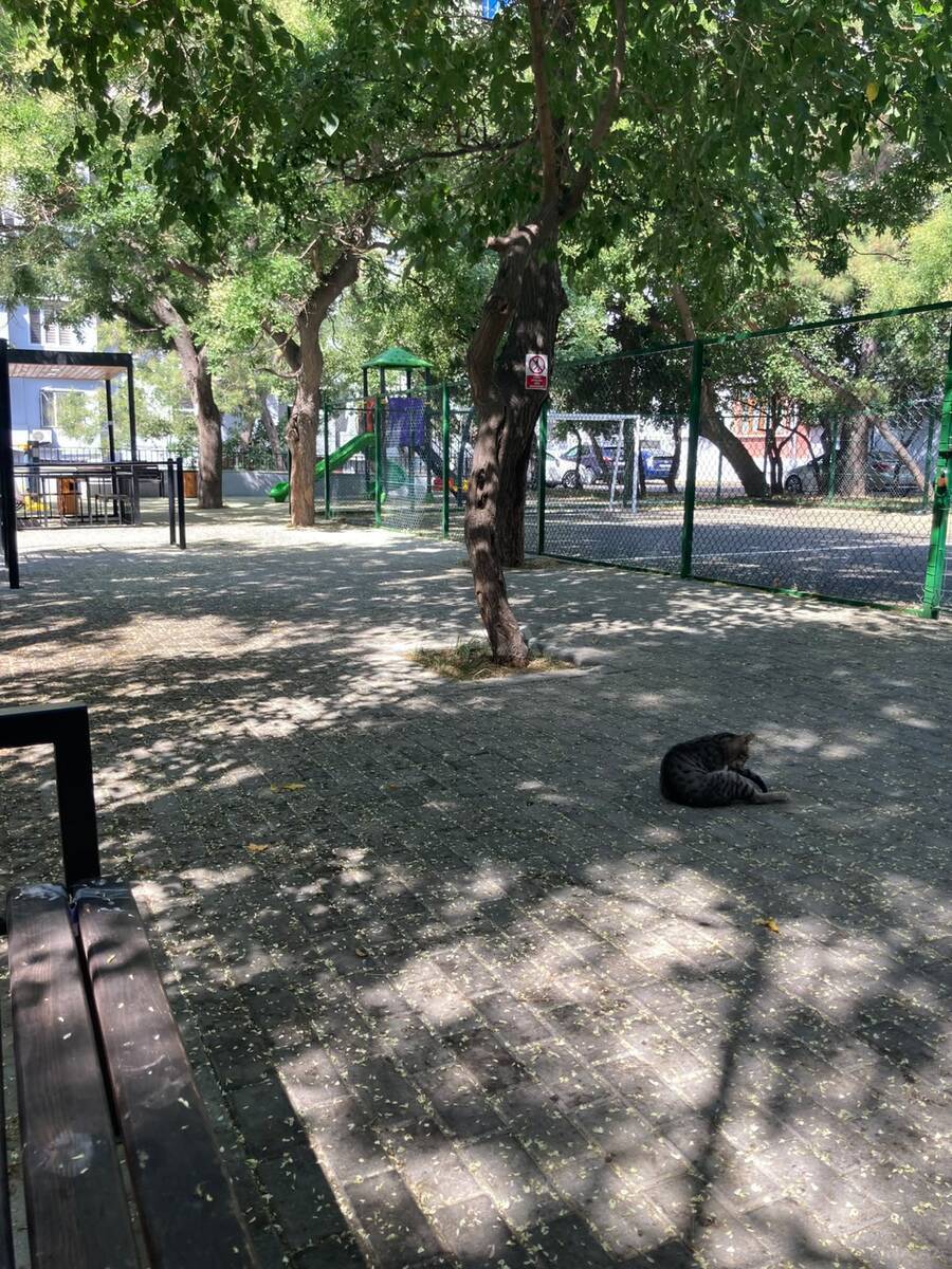 3 otaqlı Köhnə tikili, 28 May m., Bakı