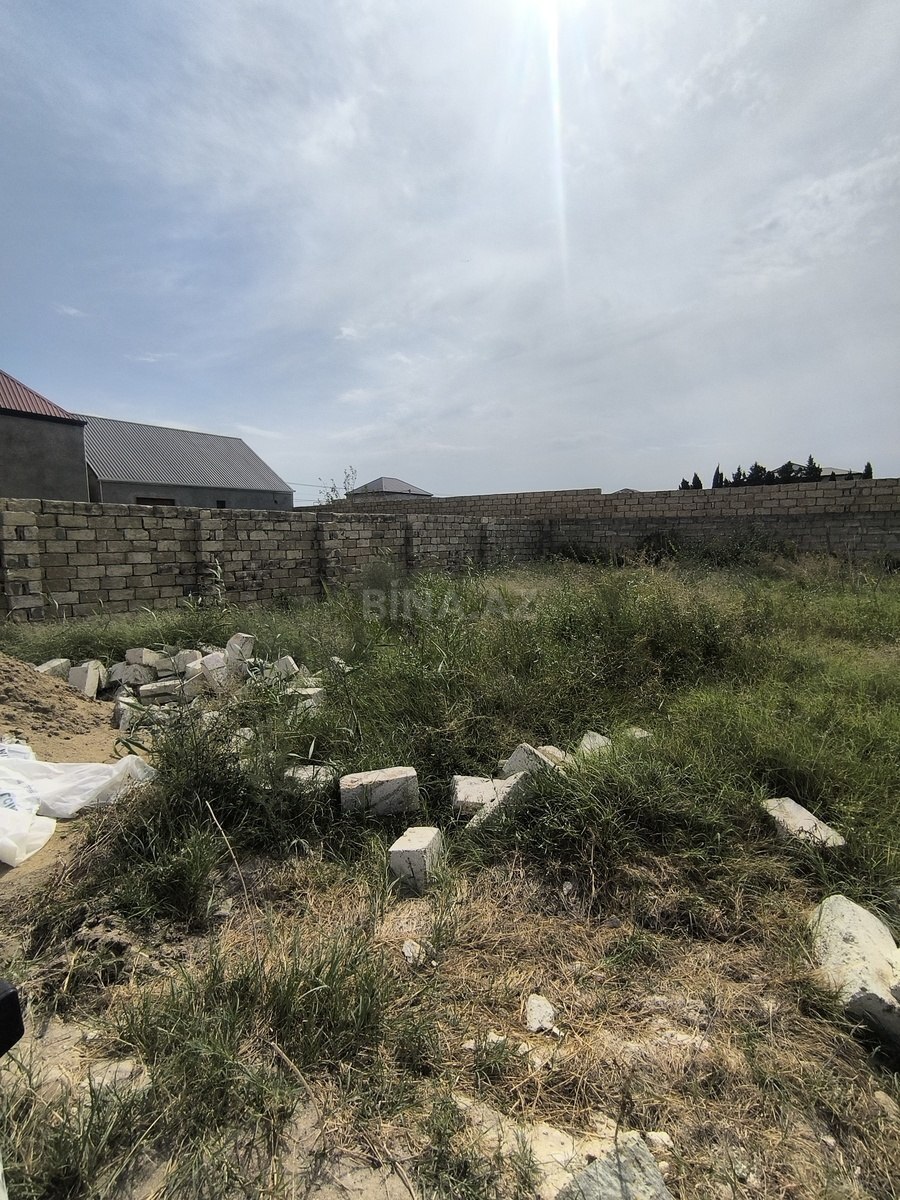 Torpaq Novxanı q., Bakı