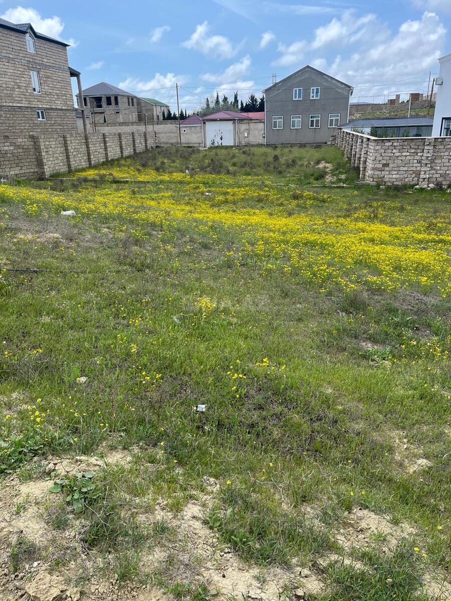 Torpaq Dübəndi q., Bakı
