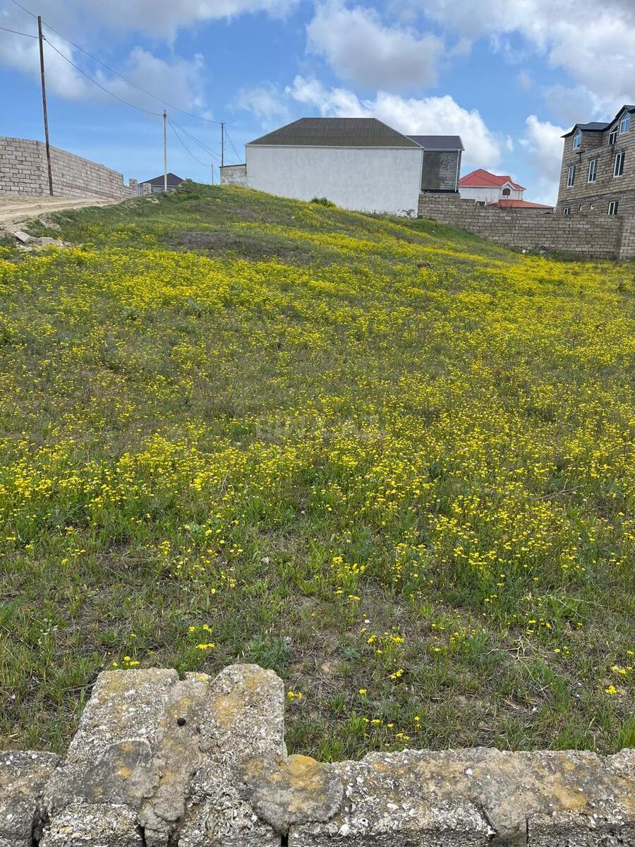 Torpaq Dübəndi q., Bakı