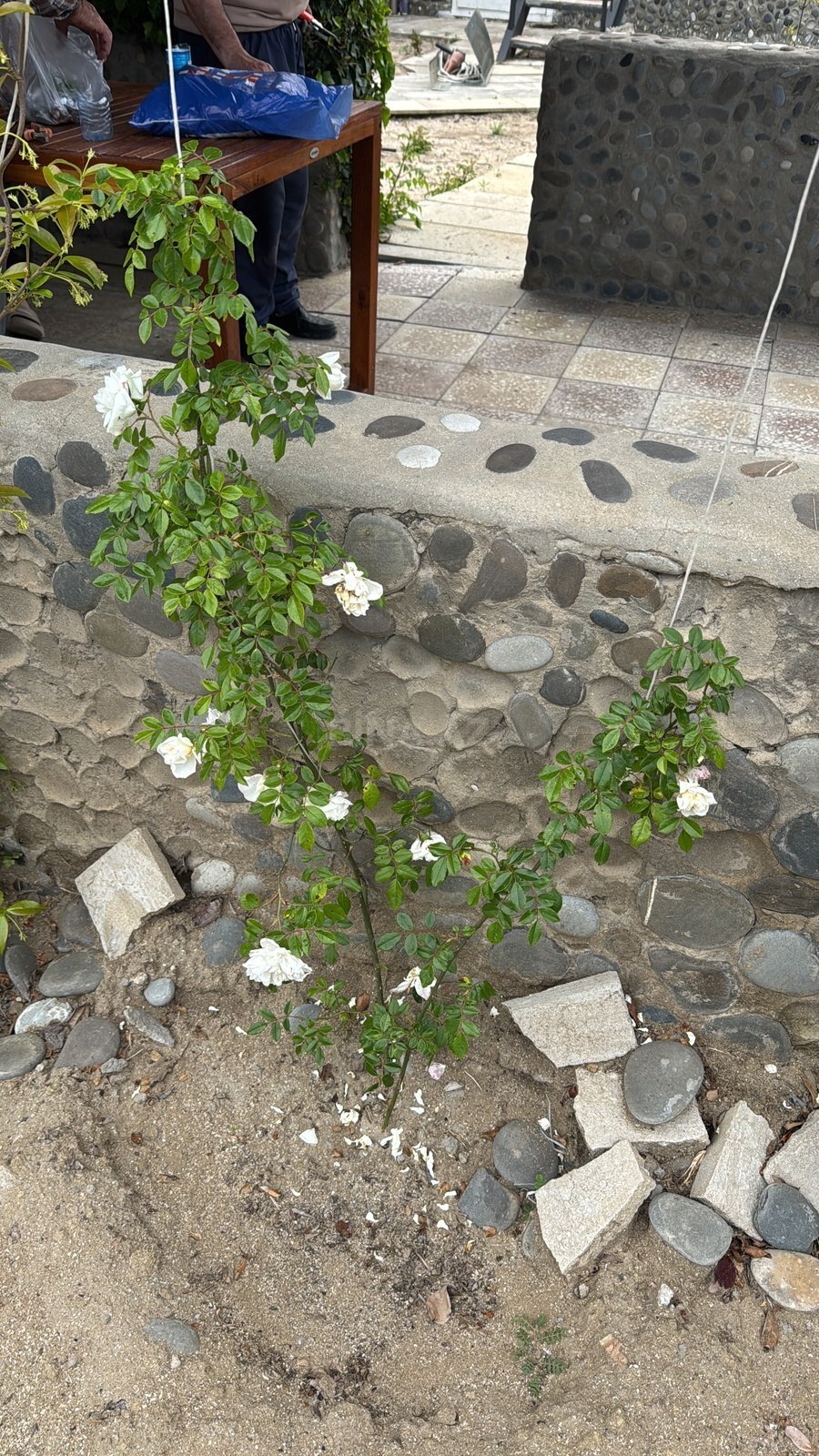 3 otaqlı Həyət evi/Bağ evi, Novxanı q., Bakı