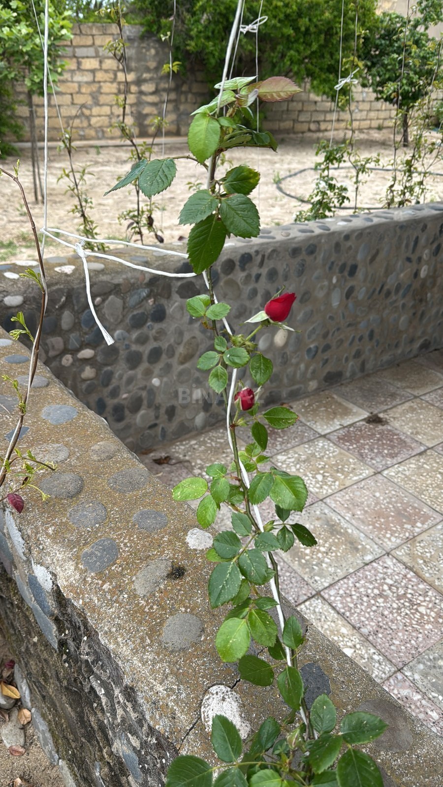 3 otaqlı Həyət evi/Bağ evi, Novxanı q., Bakı