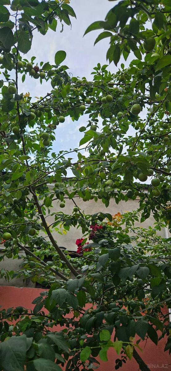 4 otaqlı Həyət evi/Bağ evi, Binə q., Bakı