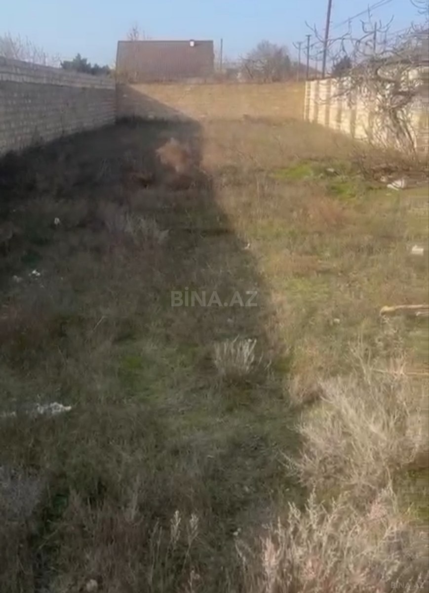 Torpaq Buzovna q., Bakı