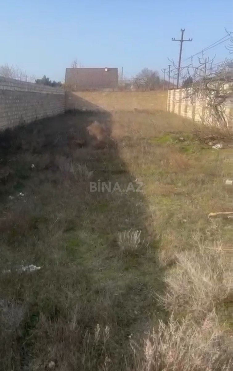 Torpaq Buzovna q., Bakı