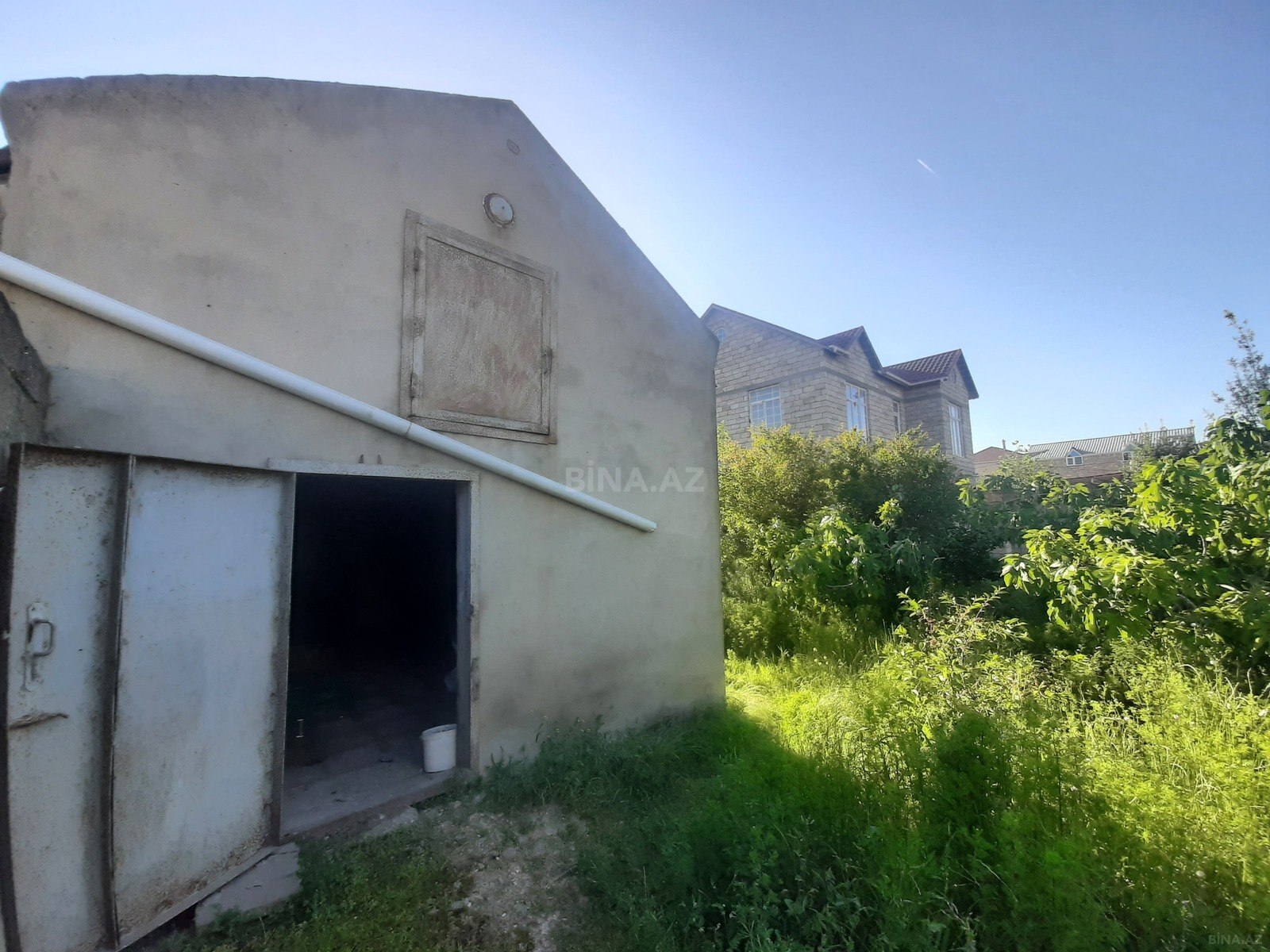 Torpaq Buzovna q., Bakı