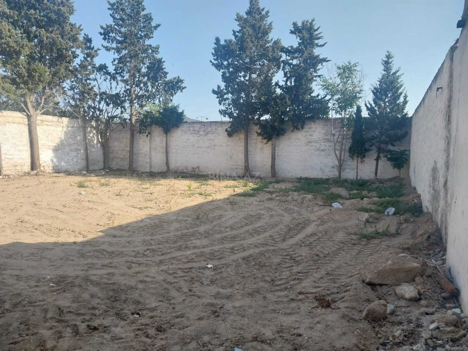 Torpaq Mərdəkan q., Bakı