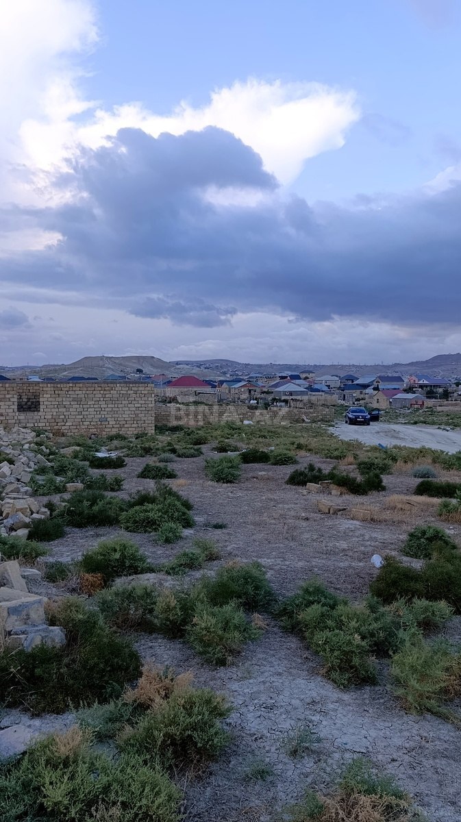 Torpaq Qobu q., Bakı