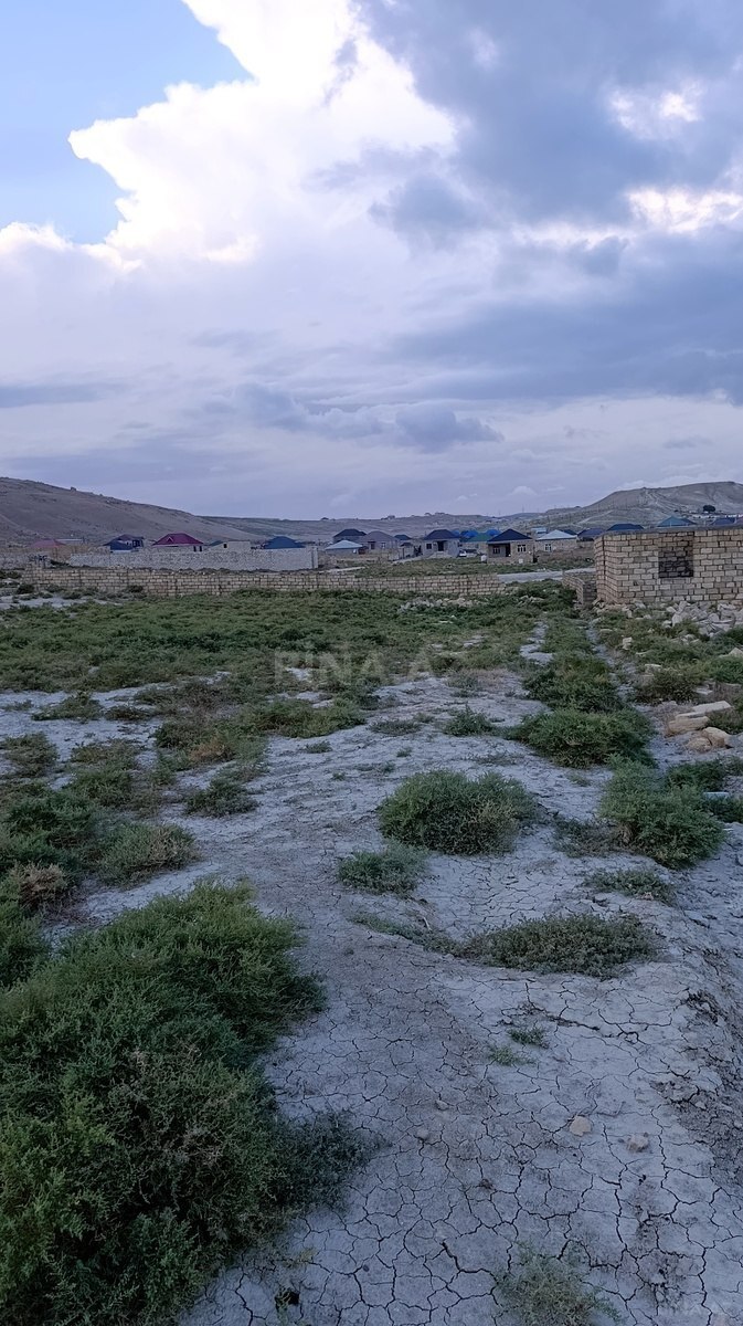 Torpaq Qobu q., Bakı