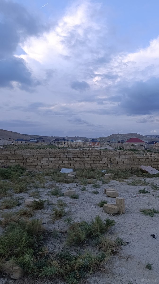 Torpaq Qobu q., Bakı