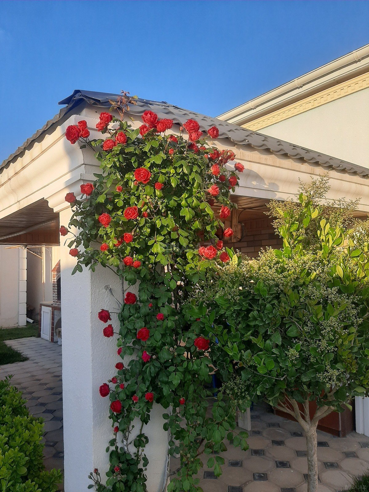 3 otaqlı Həyət evi/Bağ evi, Şüvəlan q., Bakı