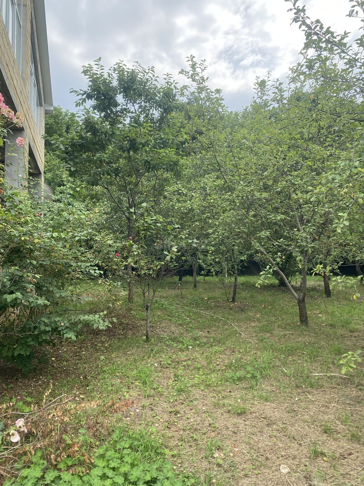 5 otaqlı Həyət evi/Bağ evi, Quba