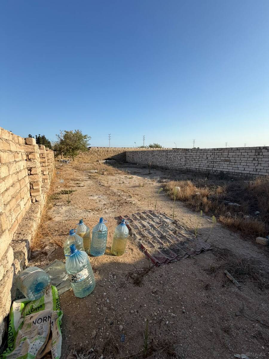 Torpaq Şüvəlan q., Bakı