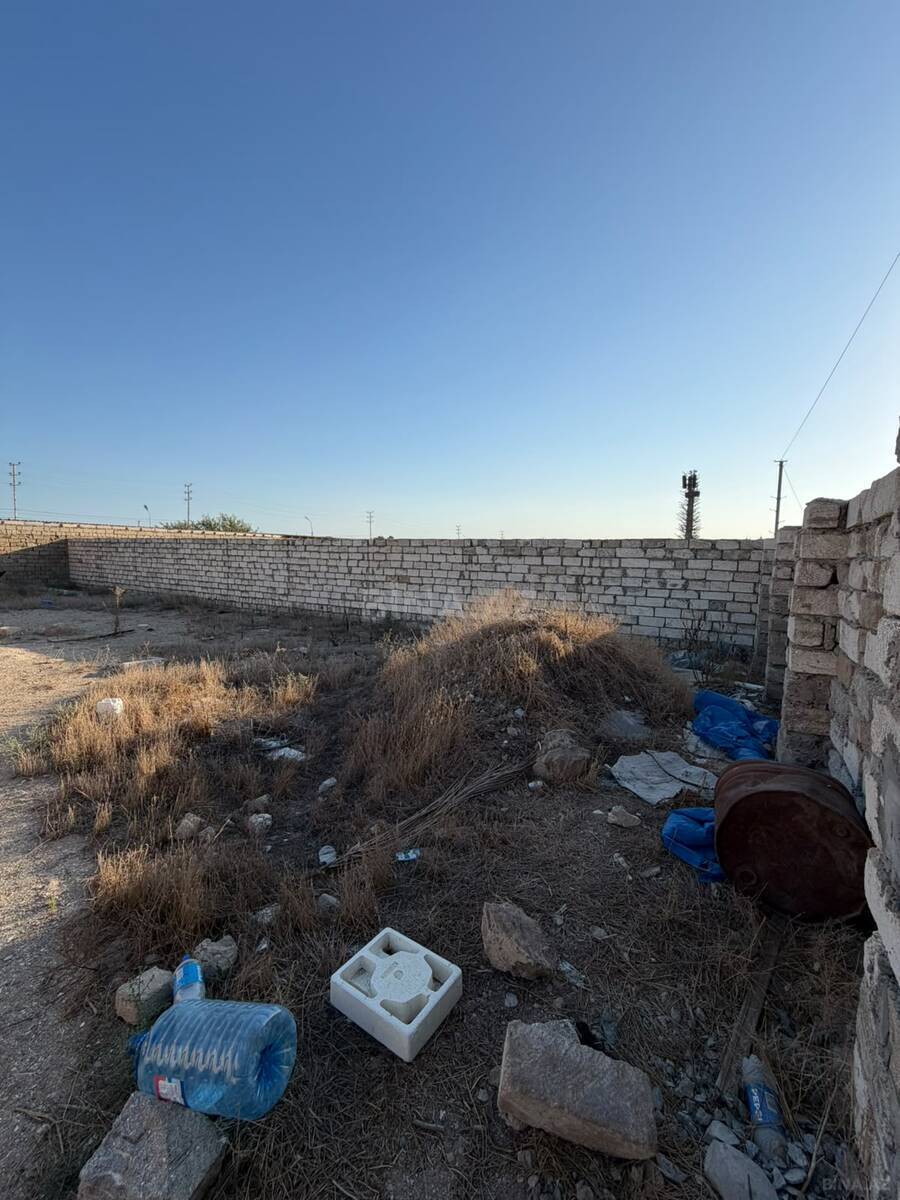 Torpaq Şüvəlan q., Bakı