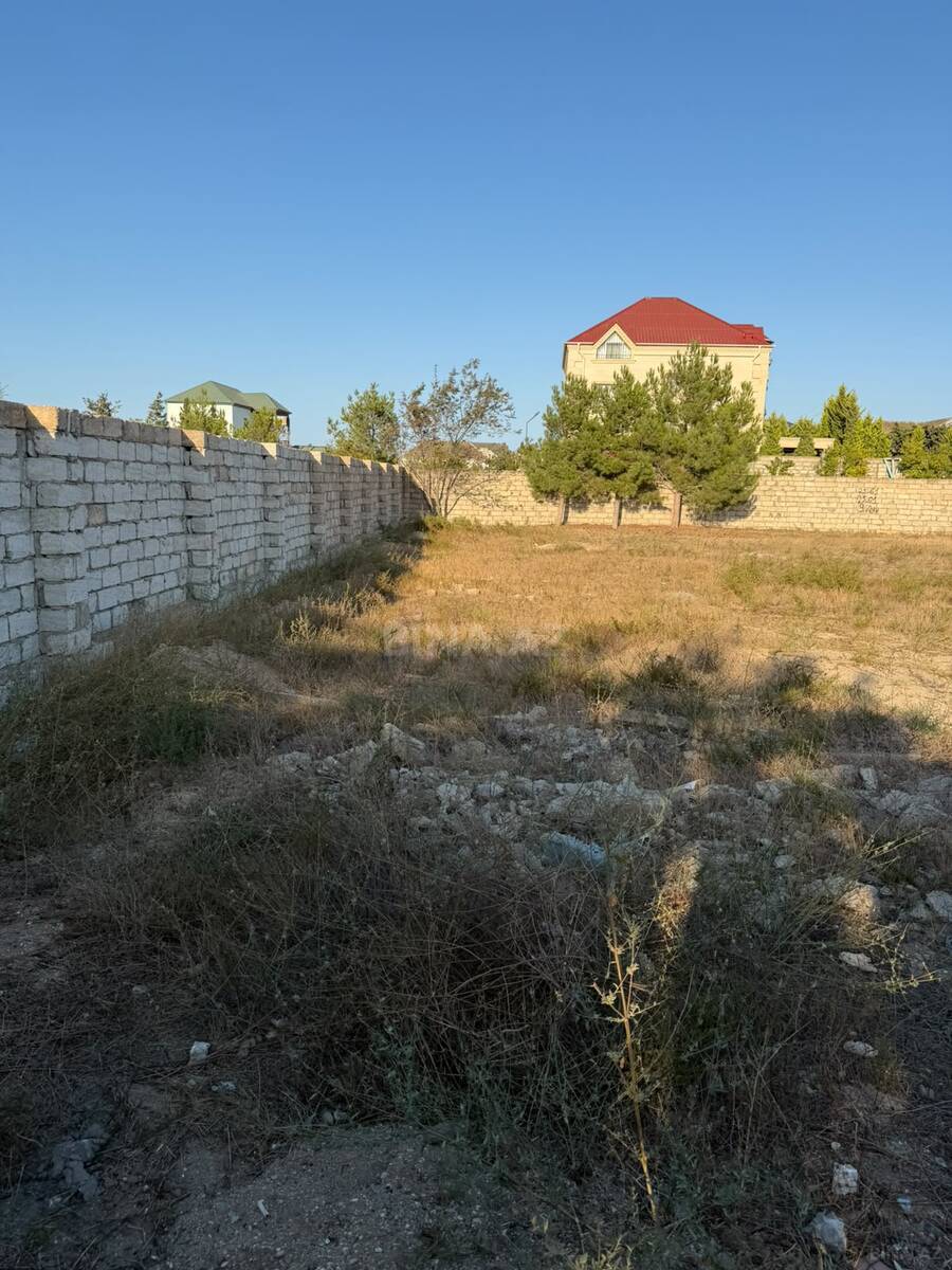 Torpaq Şüvəlan q., Bakı