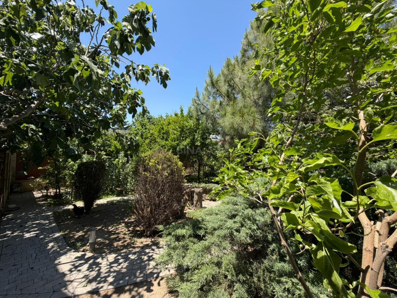 Torpaq Səbail r., Bakı