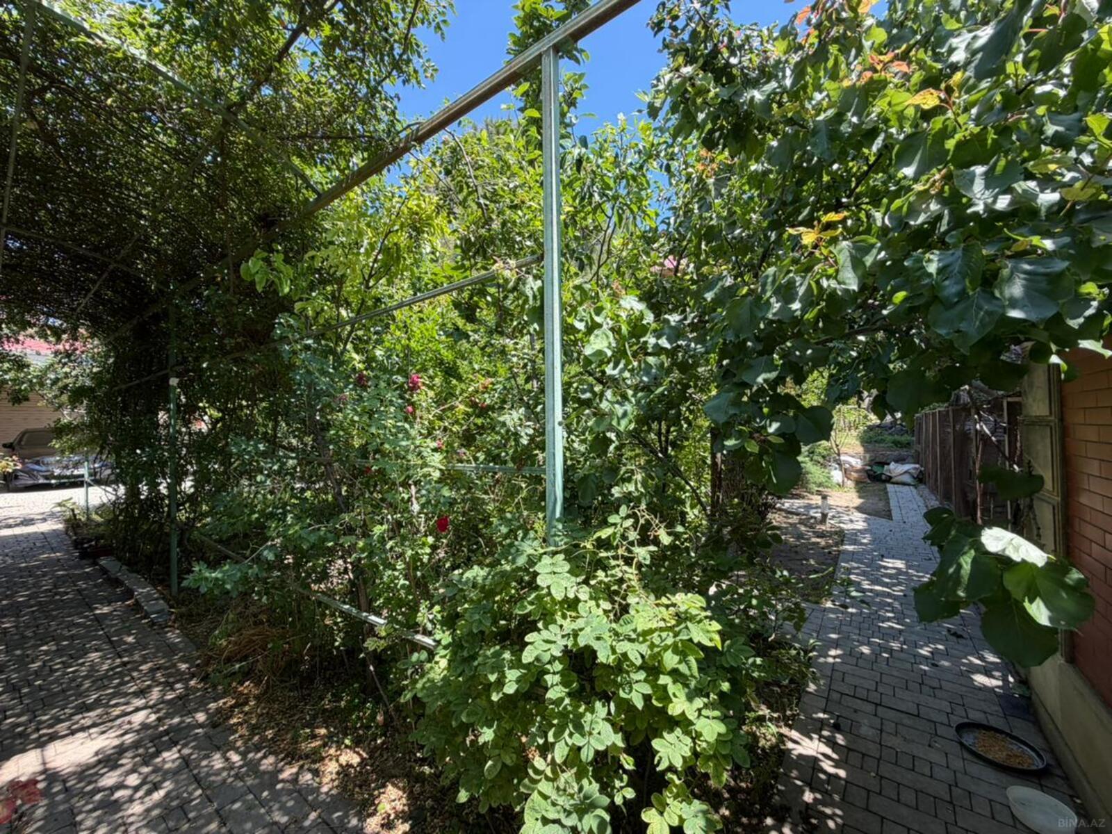 Torpaq Səbail r., Bakı