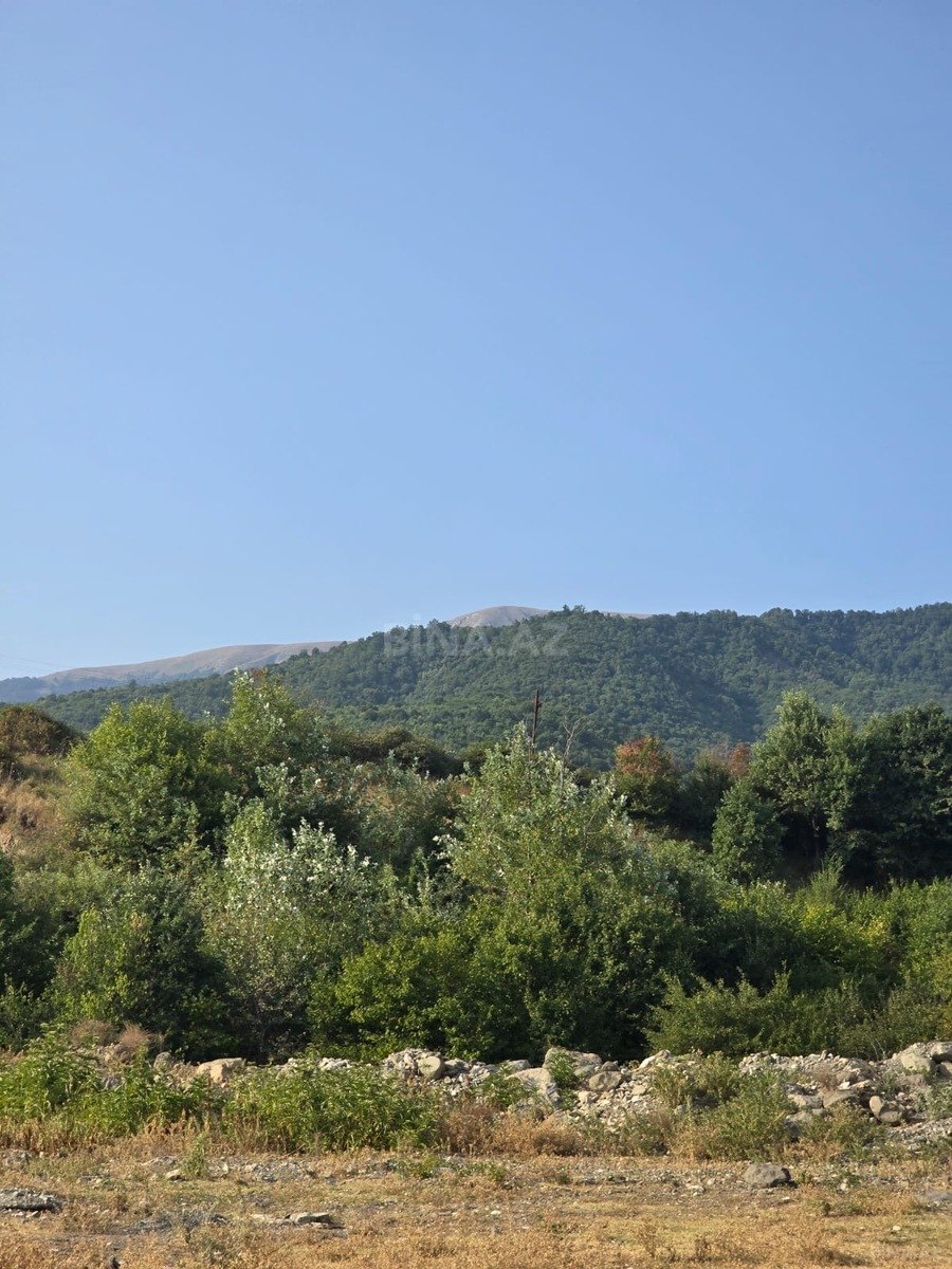 Torpaq İsmayıllı