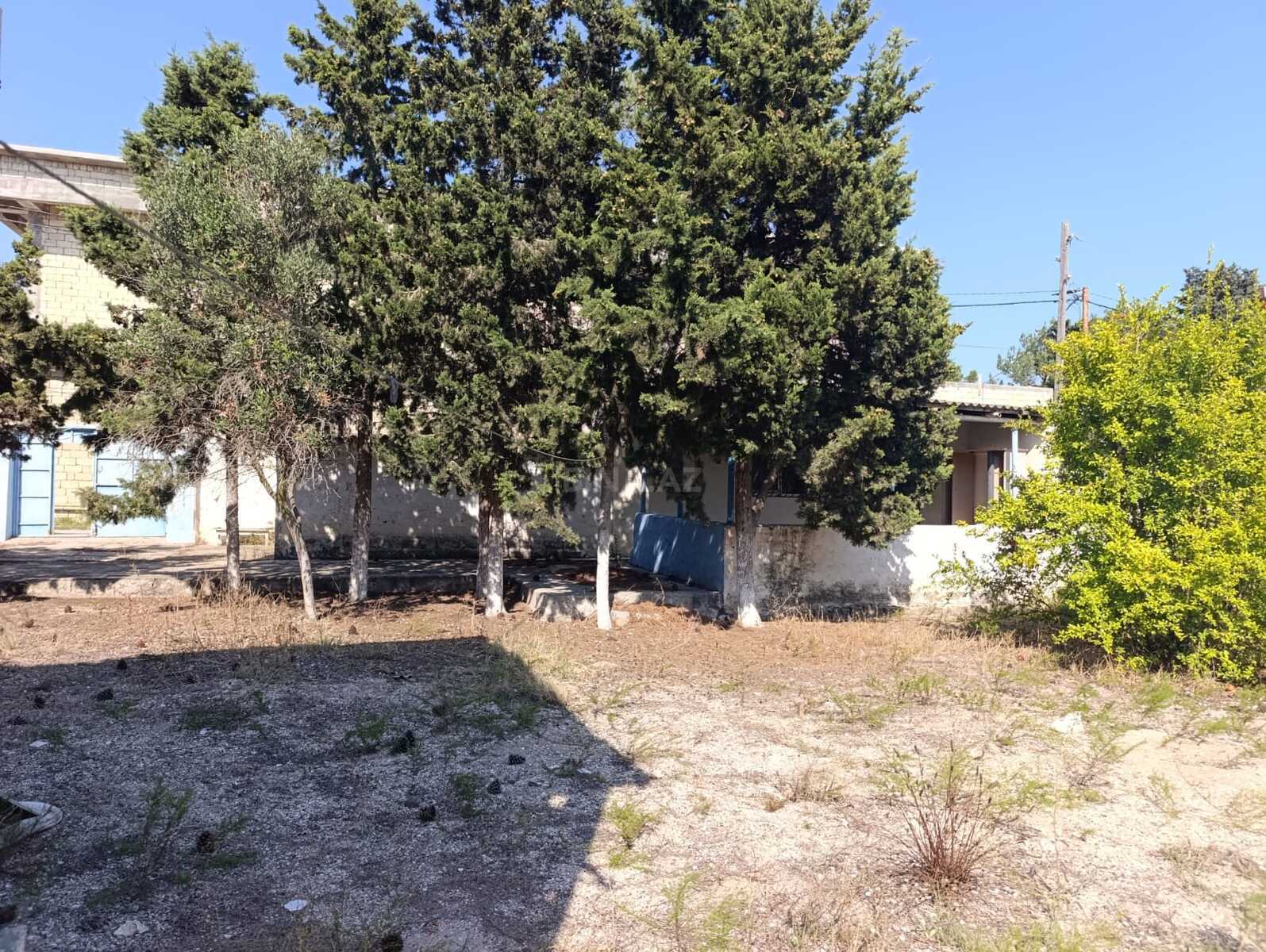 Torpaq Mərdəkan q., Bakı