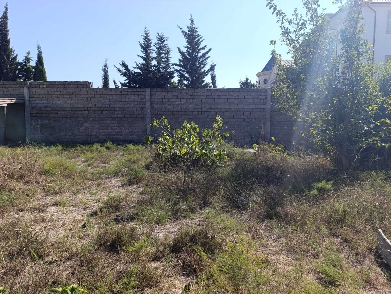 Torpaq Mərdəkan q., Bakı