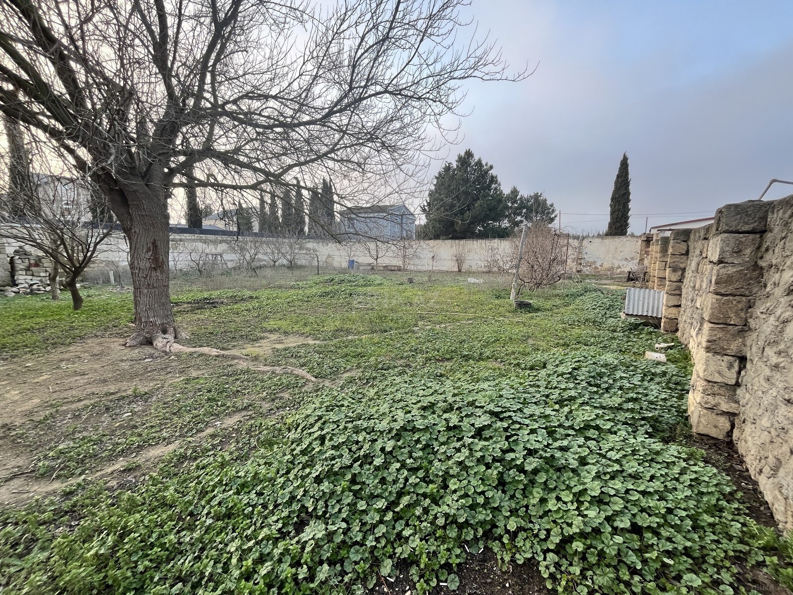 3 otaqlı Həyət evi/Bağ evi, Albalılıq q., Bakı