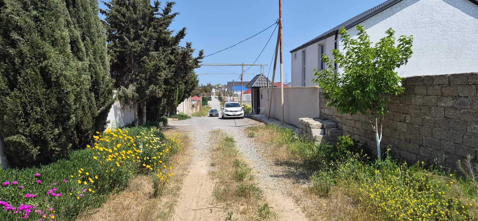 Torpaq Şüvəlan q., Bakı
