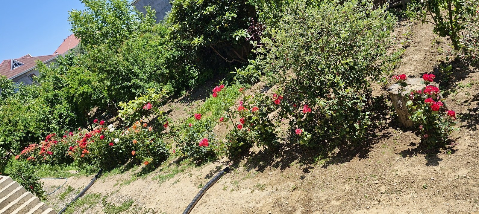 14 otaqlı Həyət evi/Bağ evi, Mehdiabad q., Bakı