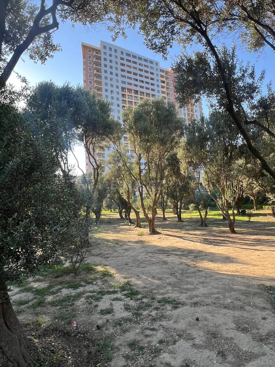2 otaqlı Yeni tikili, Nəsimi m., Bakı