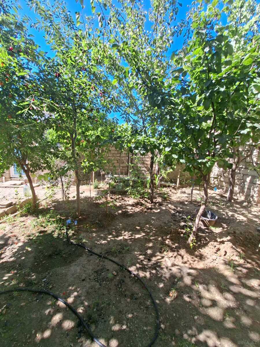 4 otaqlı Həyət evi/Bağ evi, Buzovna q., Bakı