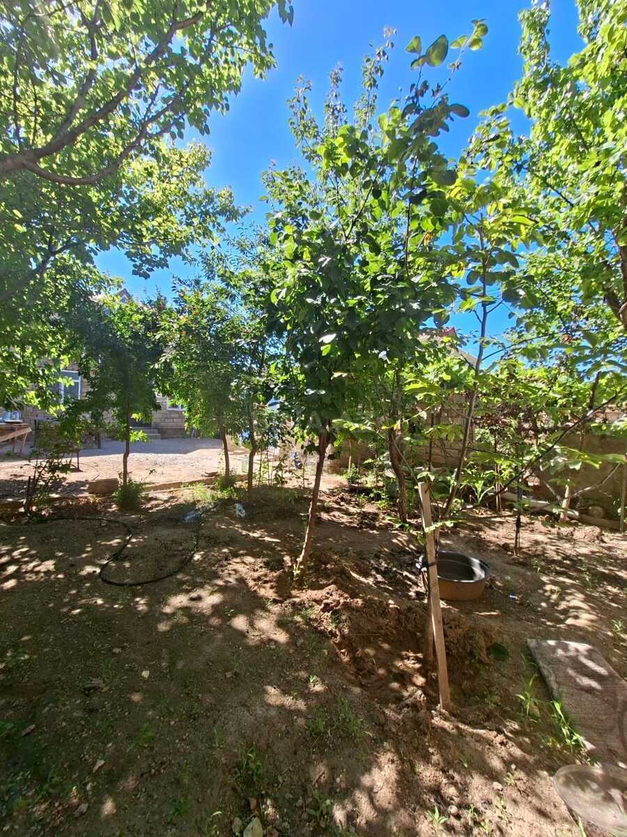 4 otaqlı Həyət evi/Bağ evi, Buzovna q., Bakı