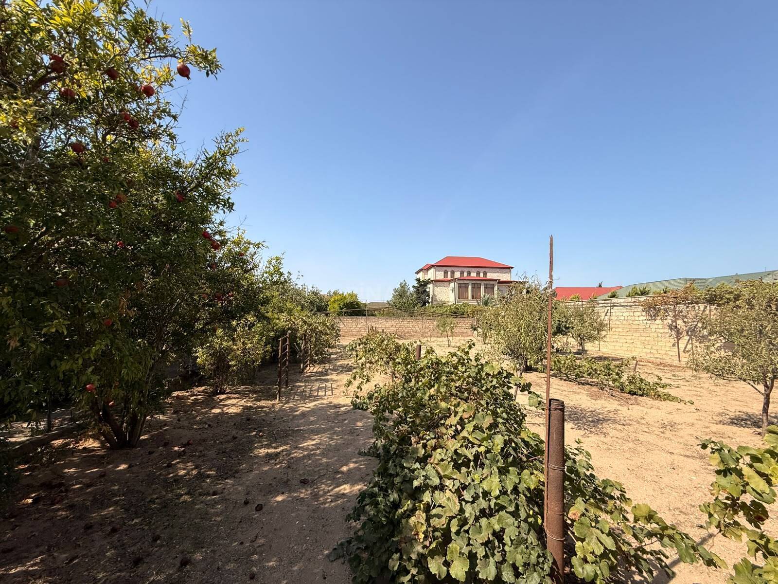Torpaq Şüvəlan q., Bakı
