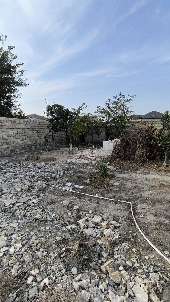 Torpaq Novxanı q., Bakı