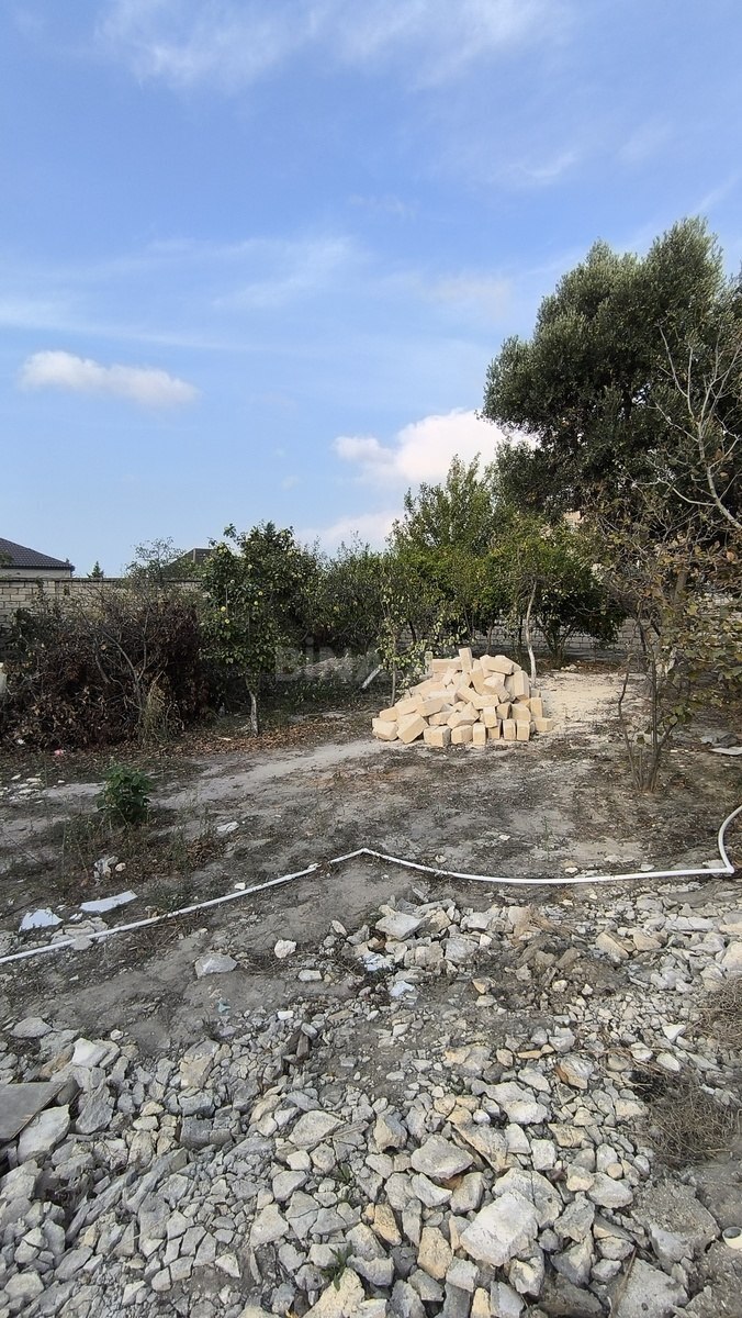 Torpaq Novxanı q., Bakı