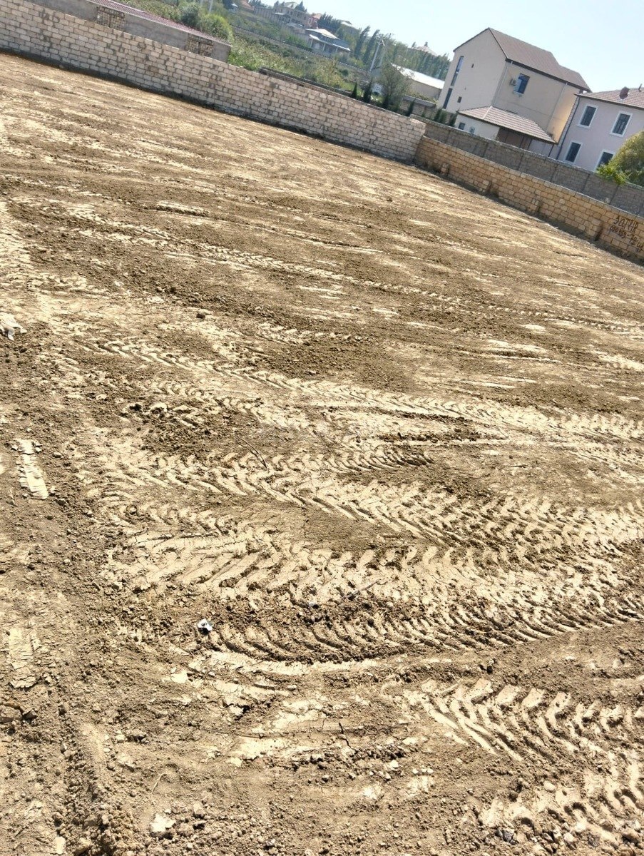 Torpaq Novxanı q., Bakı