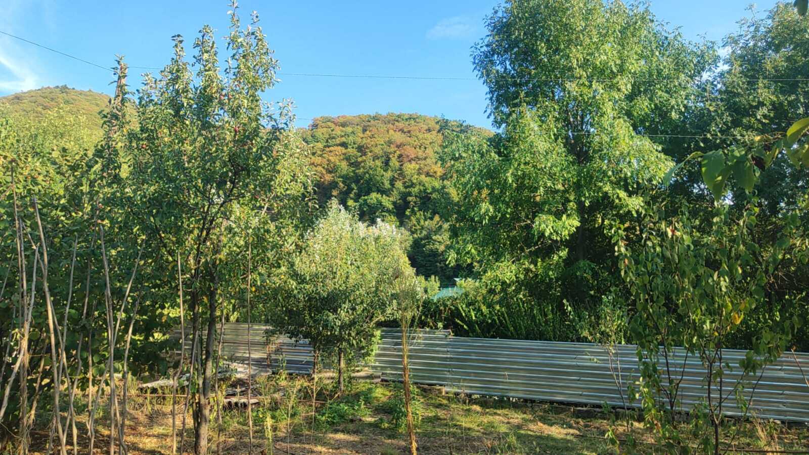 Torpaq İsmayıllı