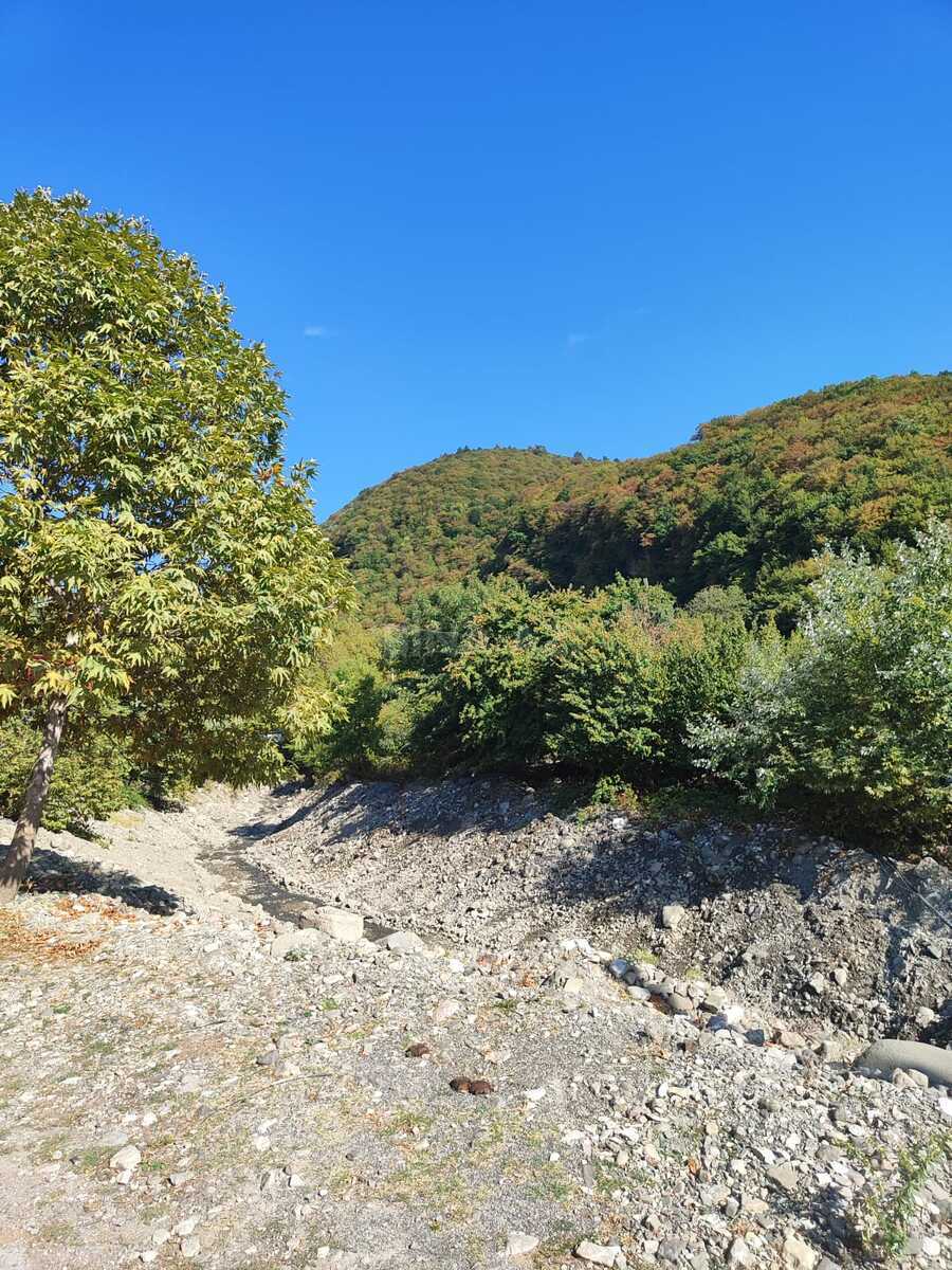 Torpaq İsmayıllı
