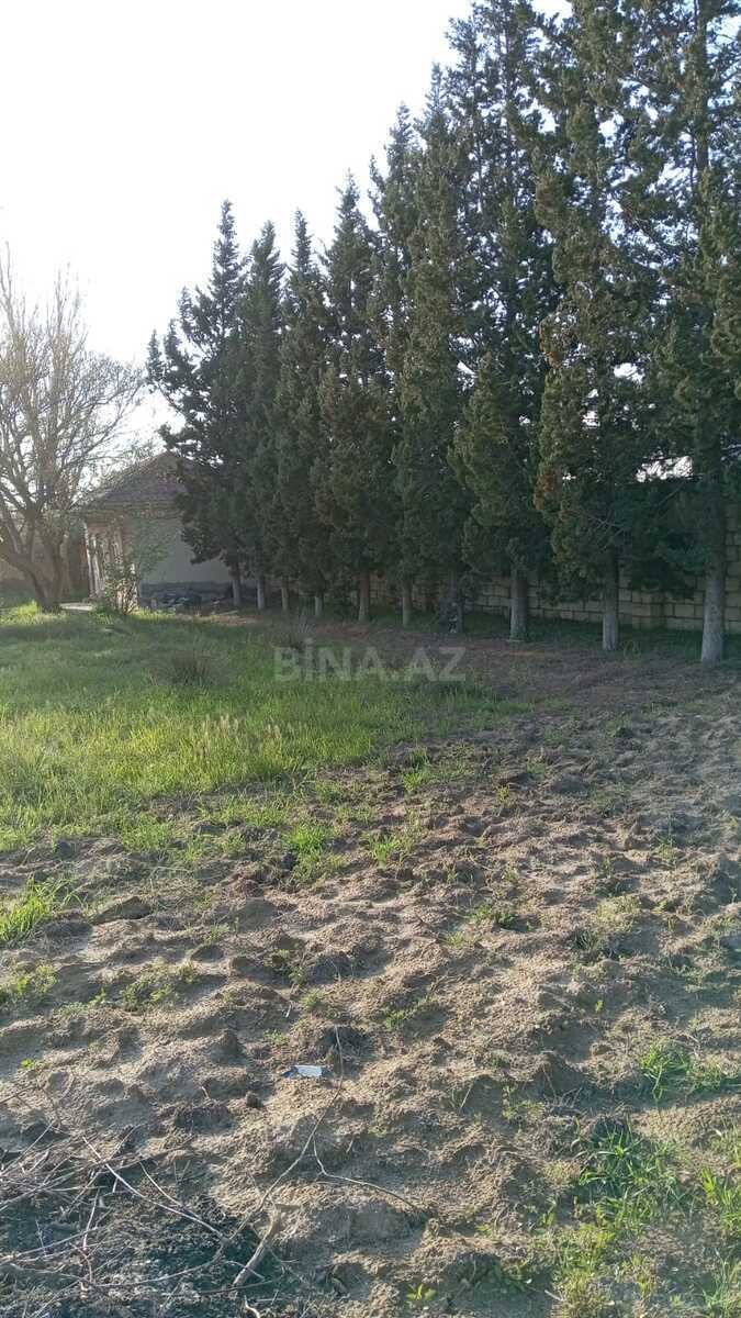 Torpaq Novxanı q., Bakı
