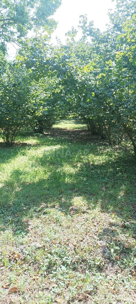 Torpaq Qusar