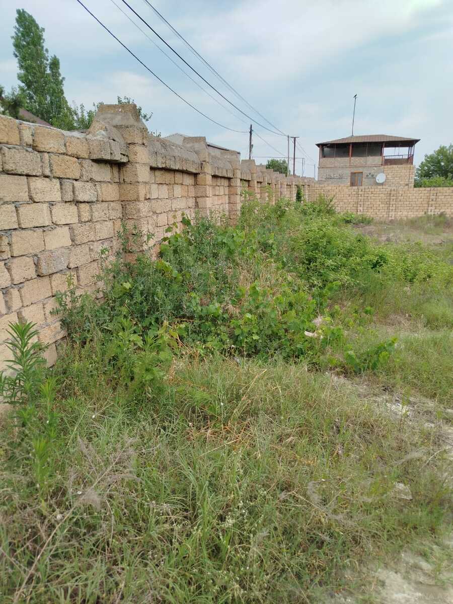 Torpaq Novxanı q., Bakı