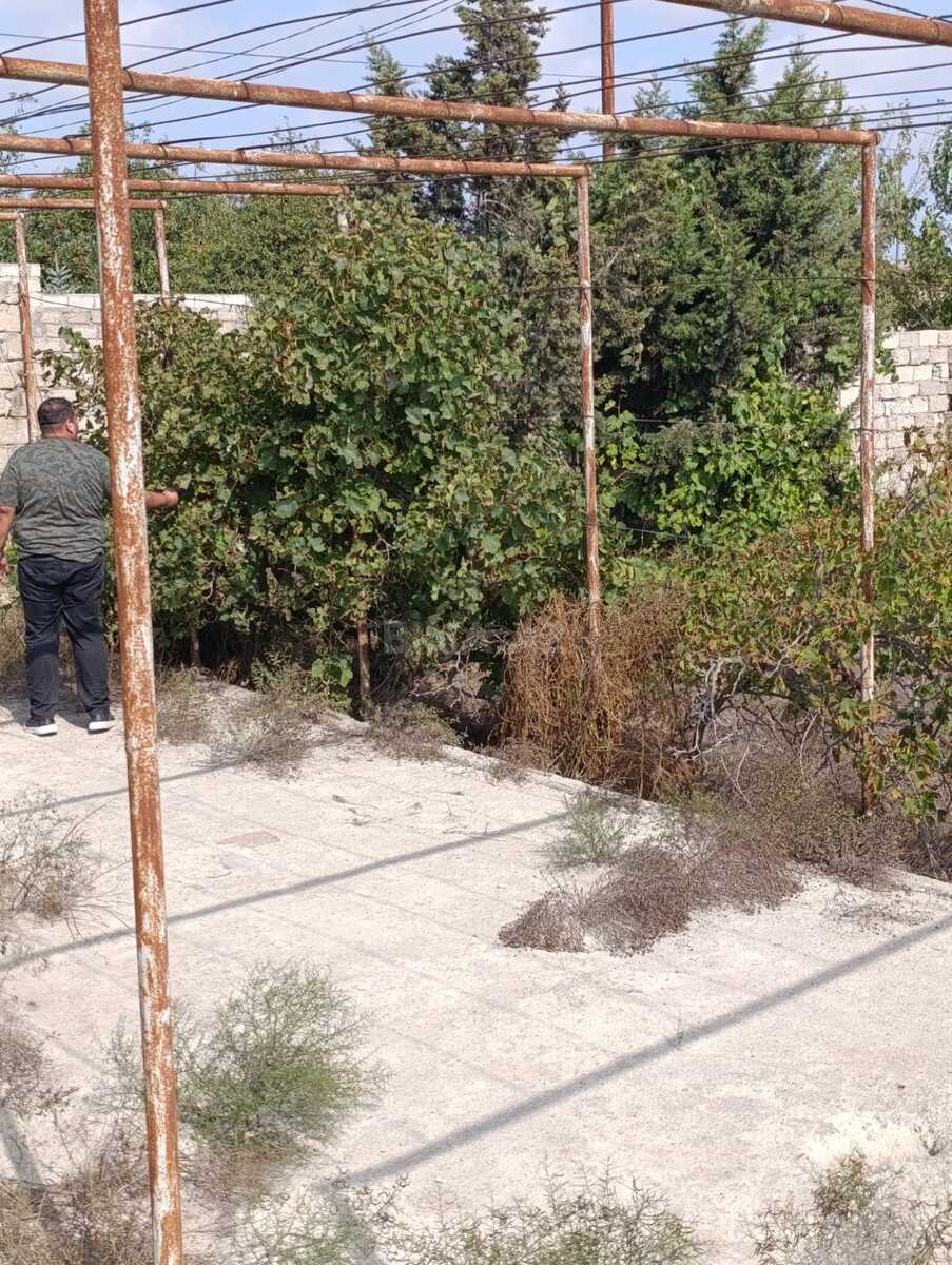 Torpaq Türkan q., Bakı